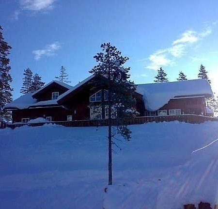 Flott Utleiehytte Pa Gautefall Treungen Экстерьер фото